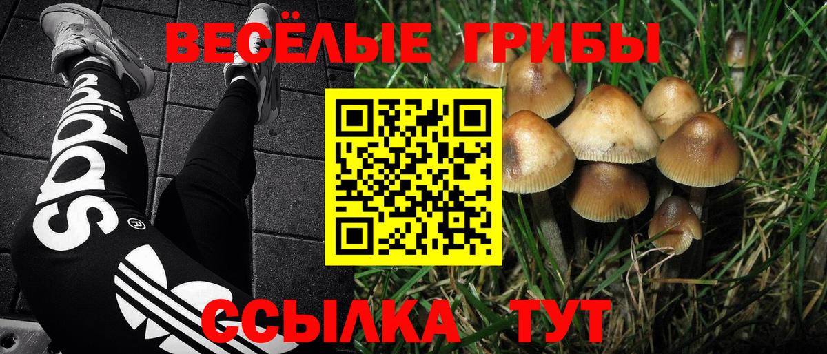 Псилоцибиновые грибы мицелий Астрахань
